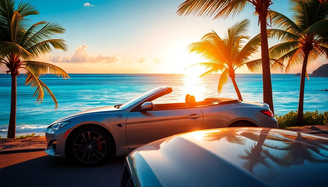 Rent a car saint barth near a beautiful beach with palm trees and a sunset backdrop.